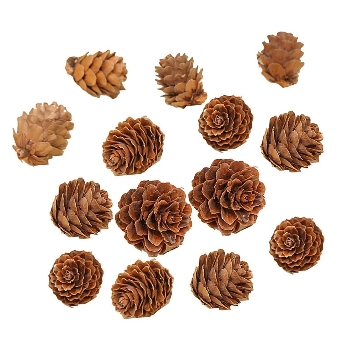 210 Piezas Mini Piñas Naturales de Pino Decoración Rústica de Hogar Manualidades y Adornos Navideños de Acción de Gracias