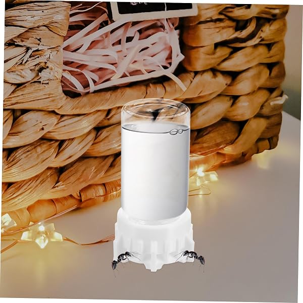 Toddmomy Distributeur d'eau pour Animaux De Compagnie Abreuvoir pour Fourmis Distributeur De Liquide pour Fourmis Dispositif d'alimentation pour Fourmis Bouteille d'eau pour Fourmis - 4