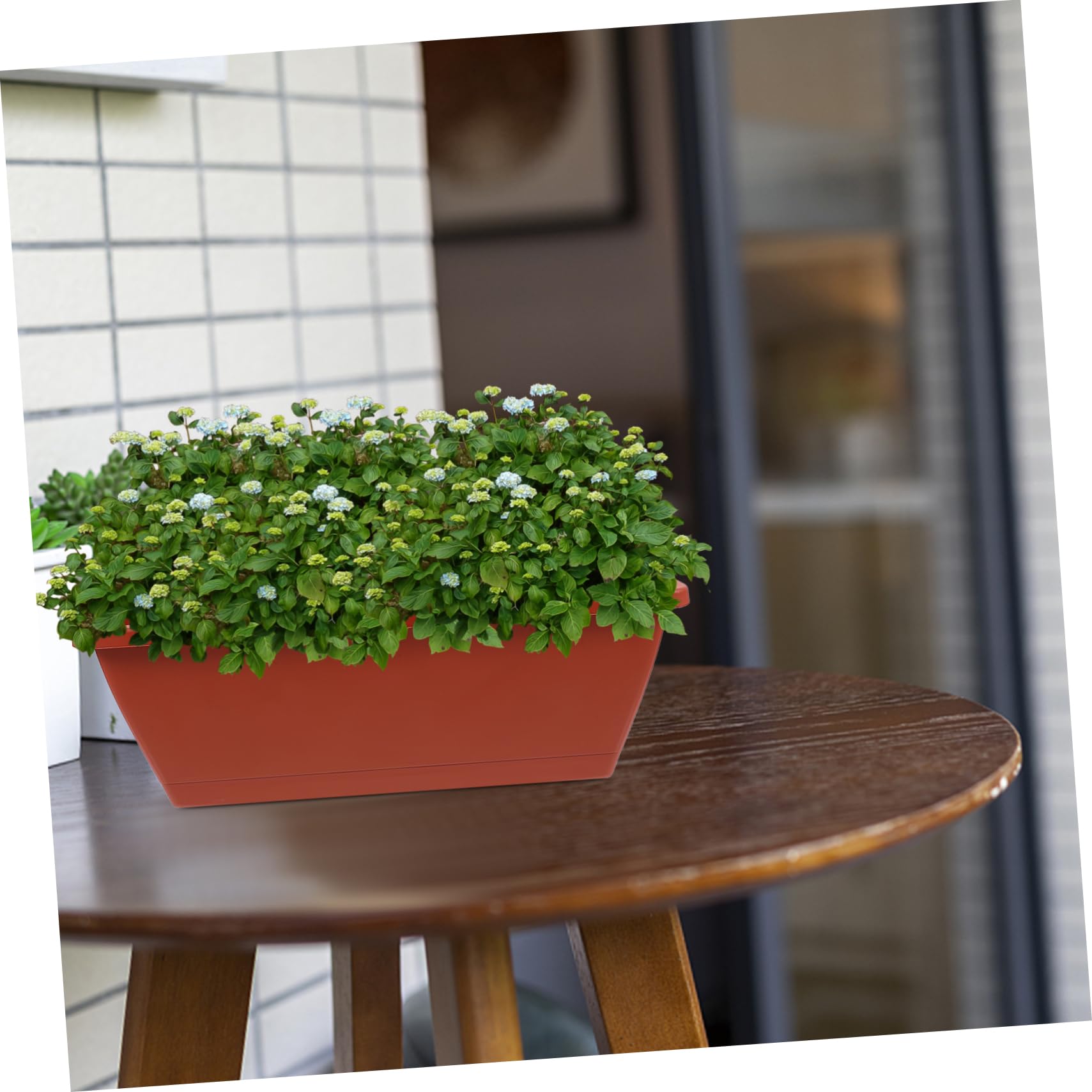HANABASS 6pezzi Vasi in Plastica Rettangolari Rossi Per Piante Grandi Bonsai e Orto Da Interno Ed Esterno Profondi Traspiranti e Resistenti Per Balcone e Ufficio