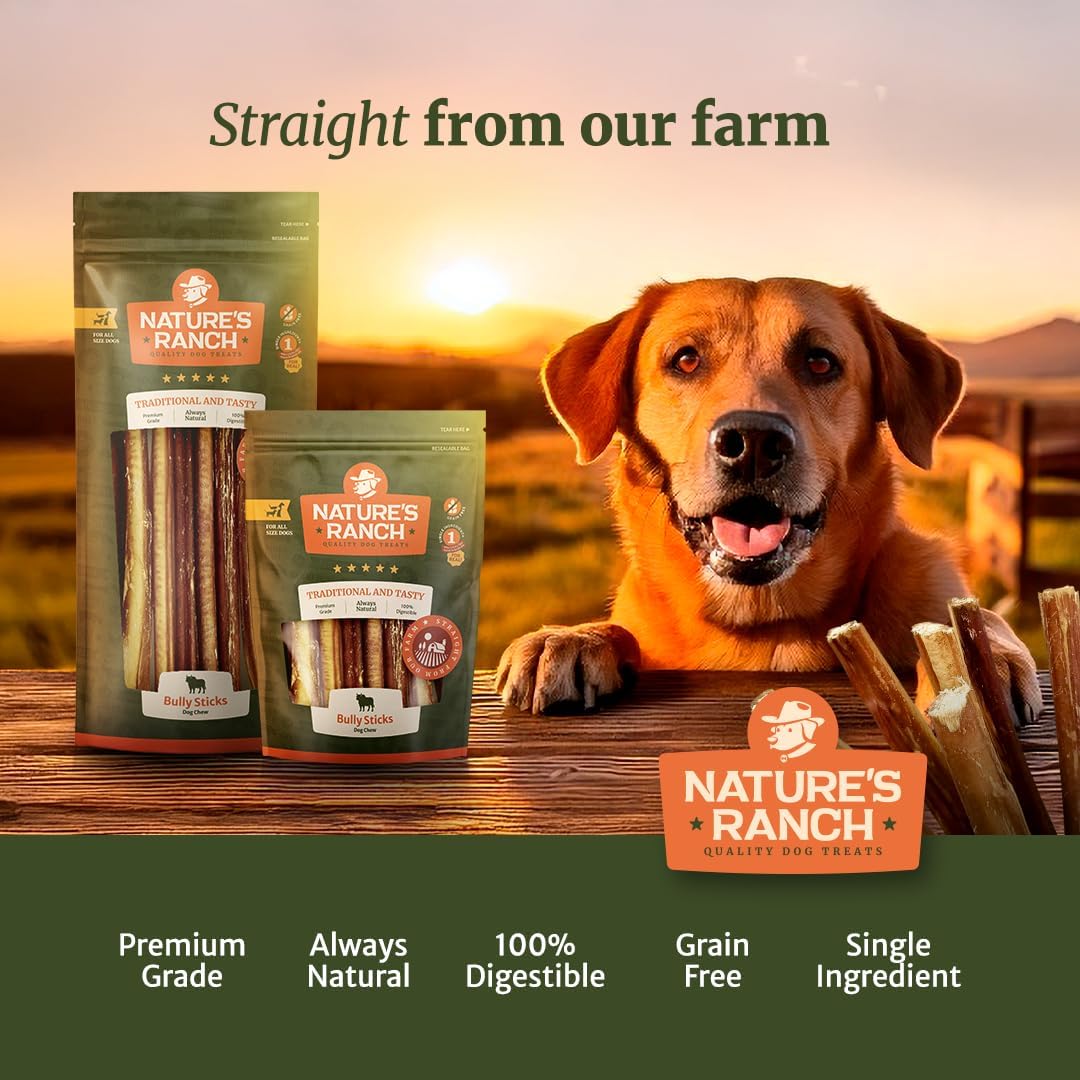Nature's Ranch Bully Sticks for Dogs 3–5 Inch (15 Pack), Low Odor Long Lasting Dog Chews, Rawhide Free Natural Chew Sticks, Single Ingredient Beef Pizzle for Small & Medium Dogs