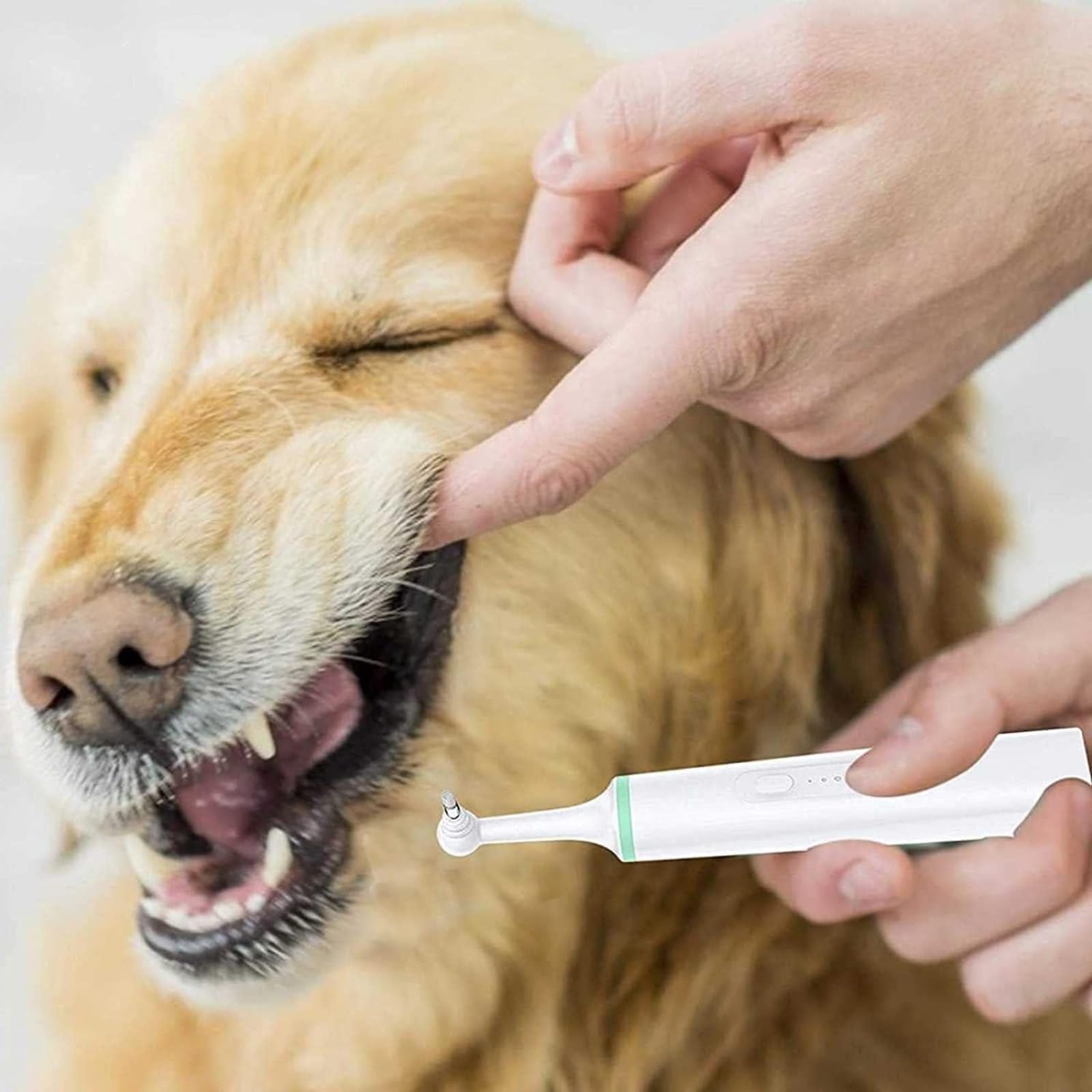 Pet Electric Toothbrush Tooth Removal Dog Mouth Cleaning Tool - Ultrasonic Toothbrush for Dog with 4 Brush Heads for Stain Eraser Tooth Polisher