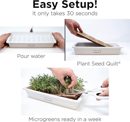 Miniatura 3 de HAMAMA Home Microgreens Kit de cultivo para cultivar microverdes frescos en interiores cada semana, preparación en 30 segundos, simplemente añade