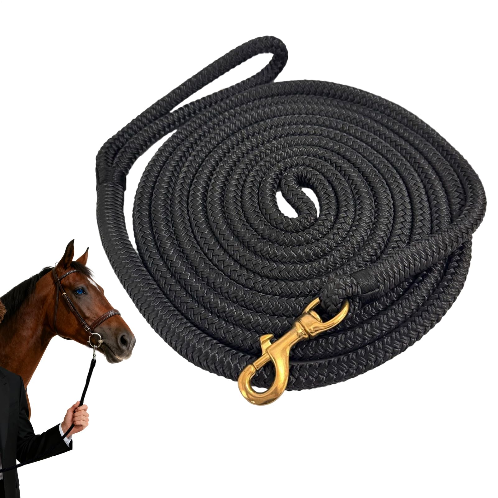 Corde de lunge pour chevaux avec licol rapide antichoc