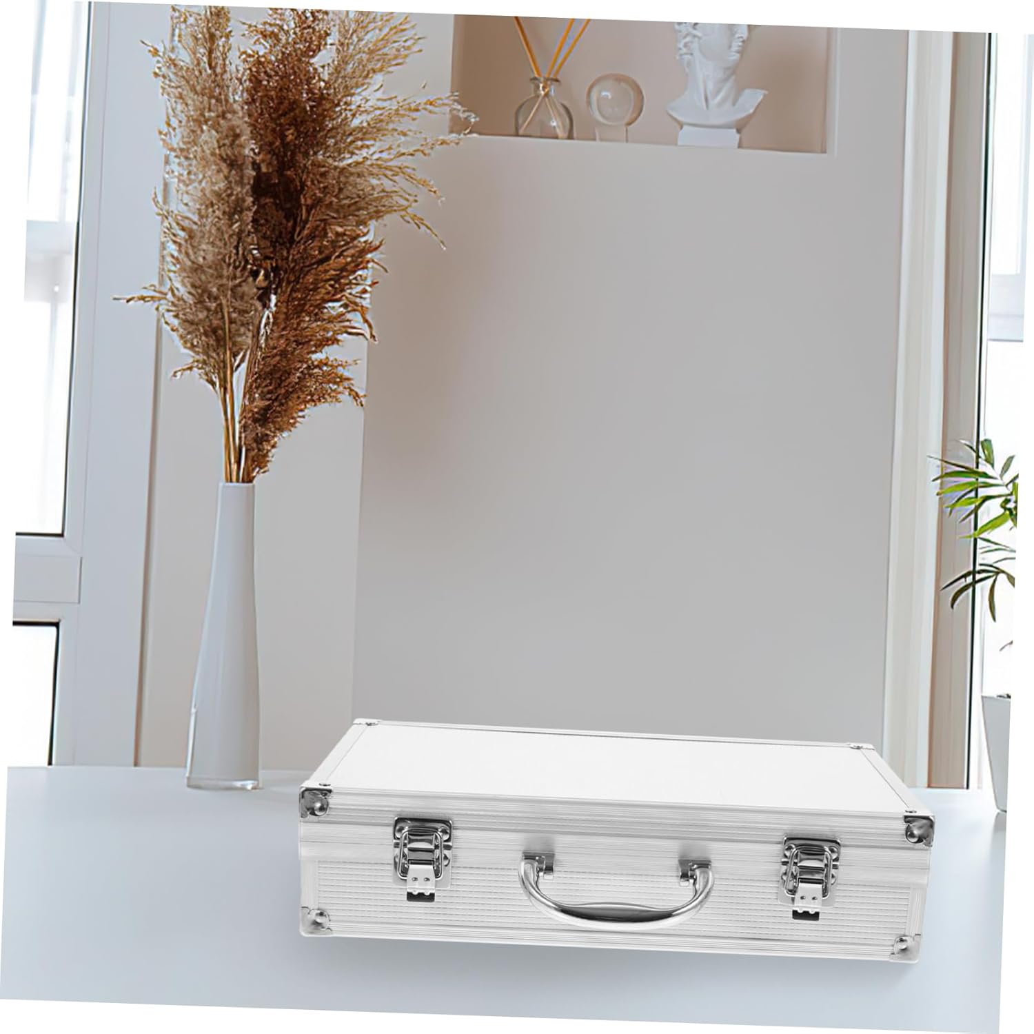 2-pack Portable Microphone Organizer Handle Hard Shell Case for Ktv Outdoor Travel Mics Safe Storage