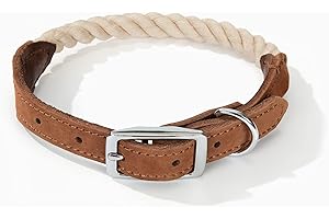 Classic and Durable Braided Cotton Rope Dog Collar with Genuine Leather Accents