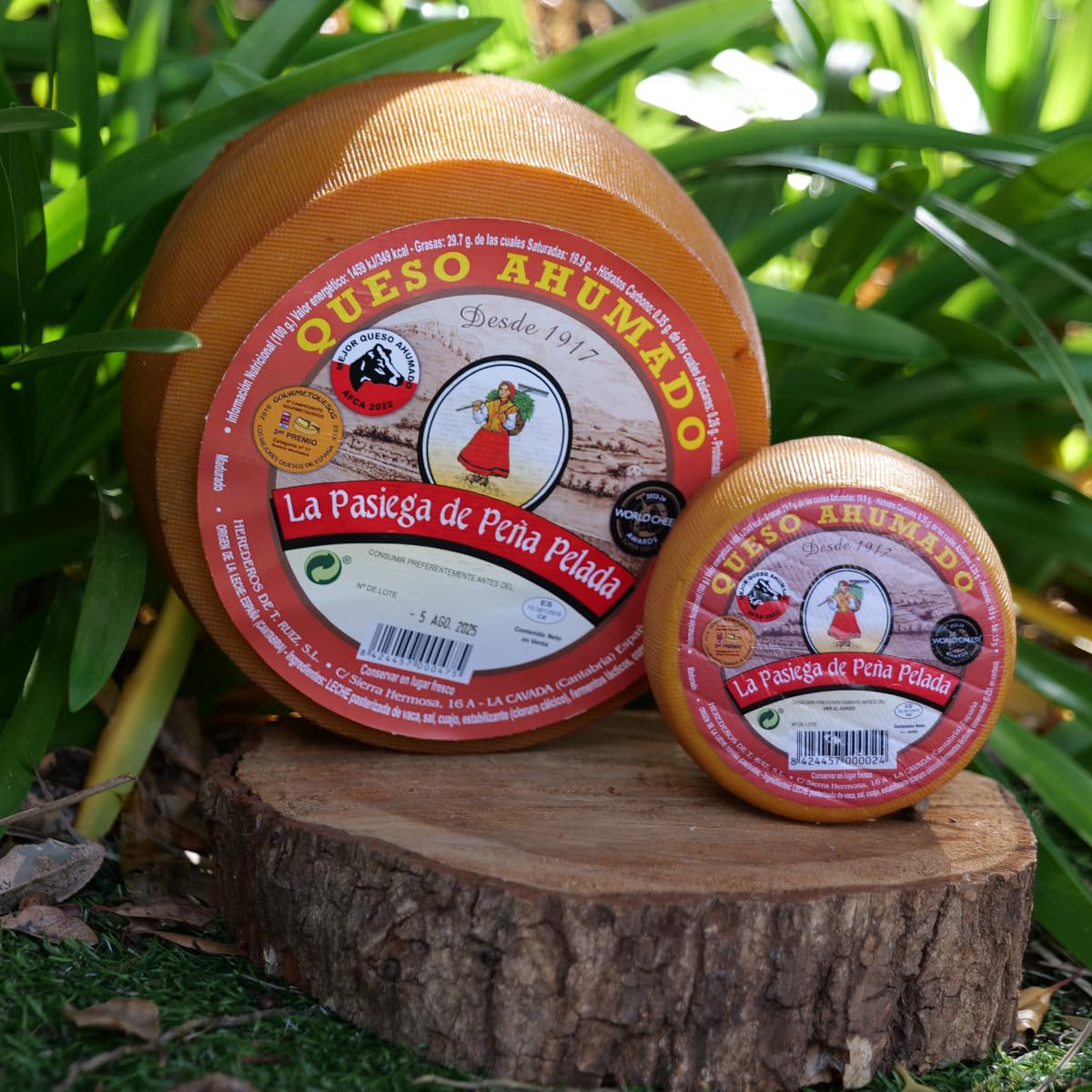 LA PASIEGA DE PEÑAPELADA Queso Ahumado Artesano, Queso redondo 3 kg (aprox) Al natural, Sabor Suave con Toque de Humo, Elaborado con Leche de Vaca Pasteurizada en Cantabria