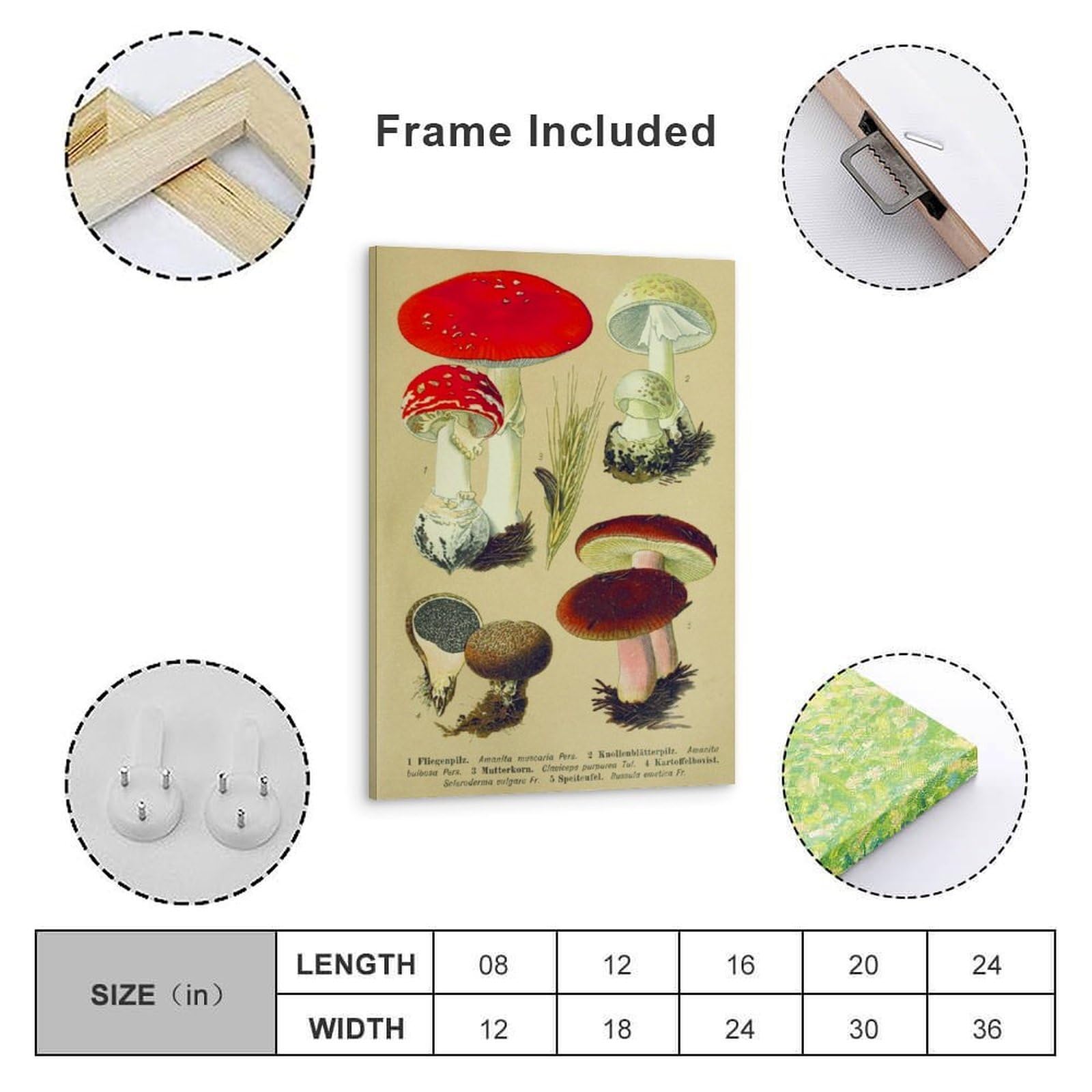 generisch Mushrooms of Central European Modern Canvas Prints, Cuadros Decorativos Para Habitaciones de Niños o Niñas, Murales para Sala de Estar Y Pinturas con Motivos Festivos24x36 Pulgadas