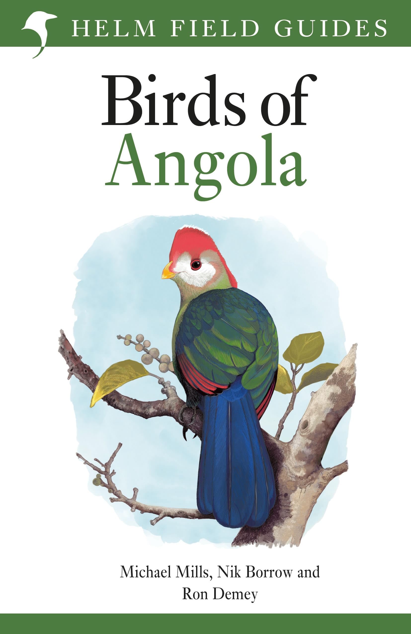 Field Guide to Birds of Angola (Helm Field Guides)