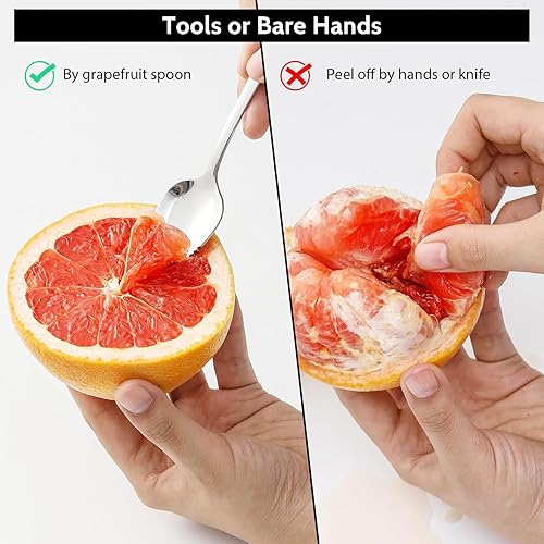 Miniatura 5 de Hiware Cucharas de pomelo y cuchillo de toronja de 4 piezas, acero inoxidable 18/8