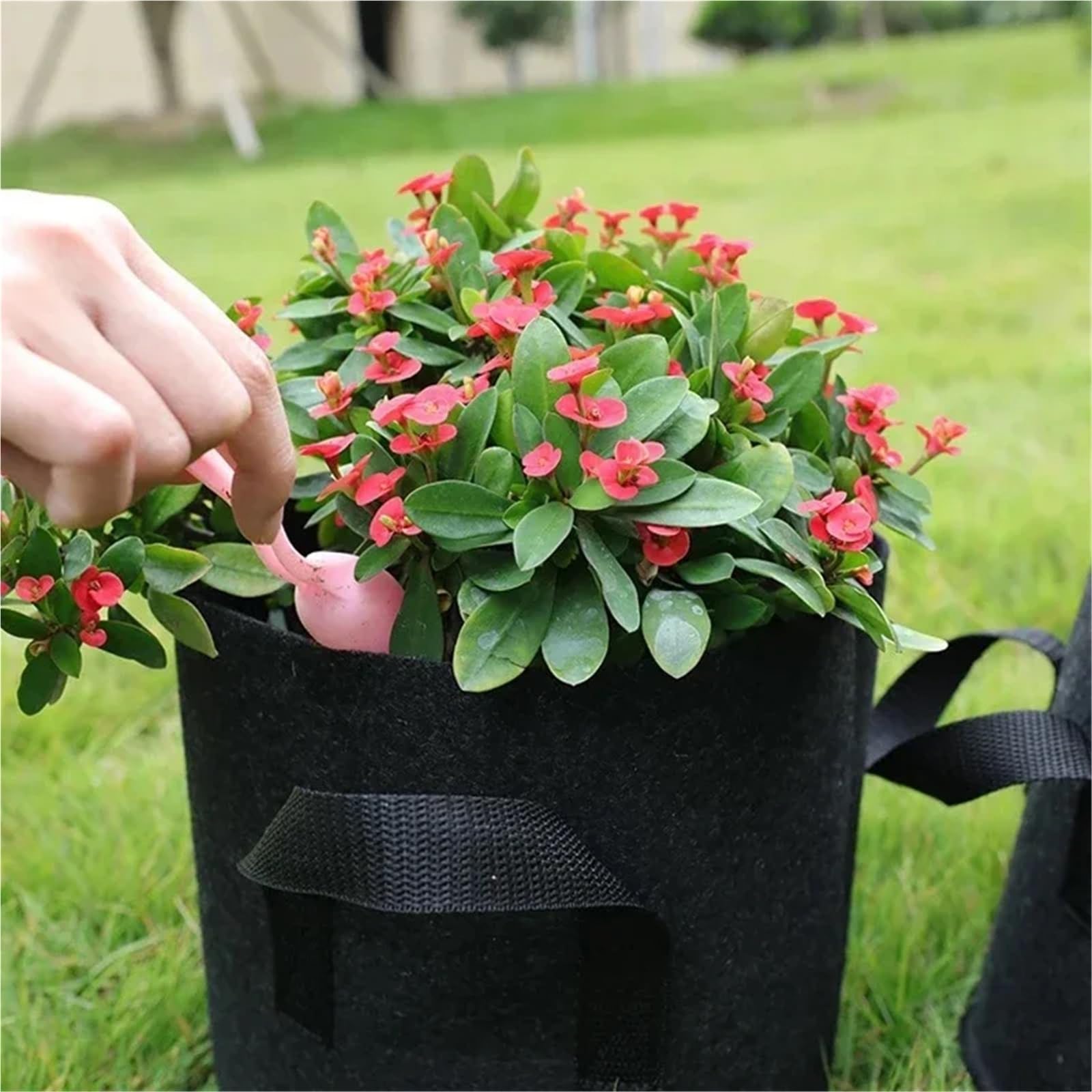 2 Bolsas de Cultivo for Verduras/Flores/Plantas, Macetas Tela Negra, for Fresas, Contenedores for Plantar Flores, Herramientas for el Hogar y Jardín(7 Gallon 30x35cm)