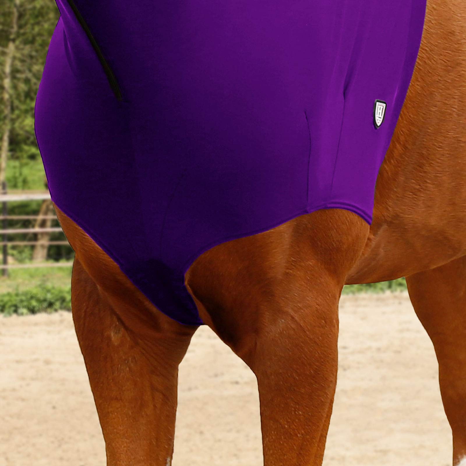 Harrison Howard Cappottino da cavallo elasticizzato con cerniera, viola, taglia M