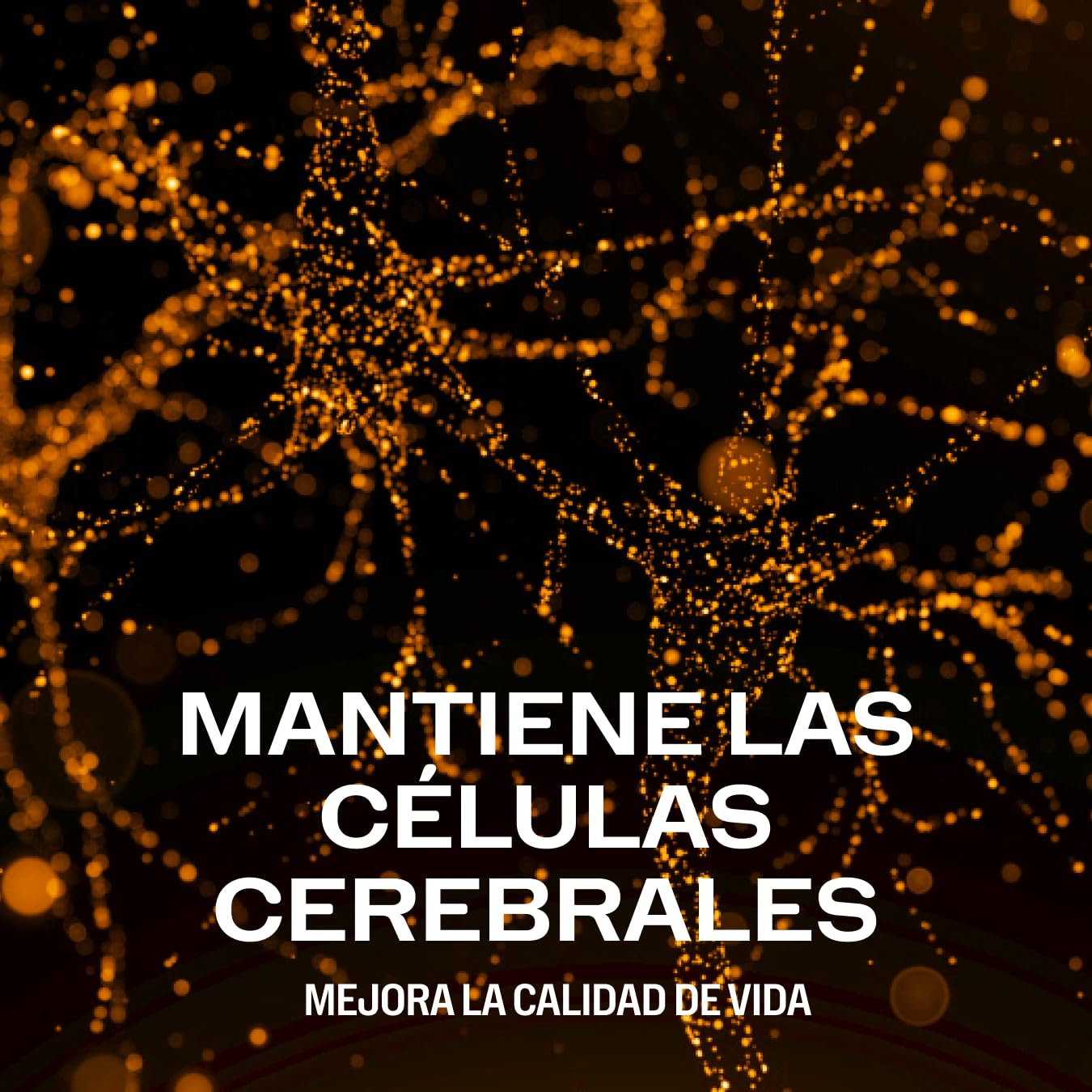 Vimergy Brain Body Memory* – 8 beneficios para el cerebro Con magnesio, citicolina y B12 – Fórmula pura de rápida absorción – Sin OGM y sin gluten