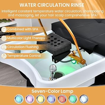 Massage Table with Shampoo Bowl Massage Bed, Head Spa Equipment with Water Cycle & Fumigation Stationary Head Spa Bed for Beauty Head Physical Salons Esthetician Treatment Wellness Resort, Black