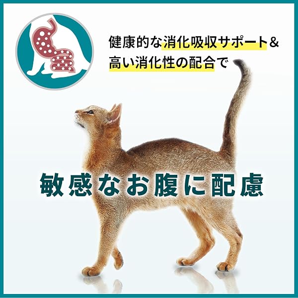 Purina One Cat Sensitive Abdomen and Skin Health Care, Salmon & Tuna, 1 Year and Up, 4.4 lbs (2 kg) - 3