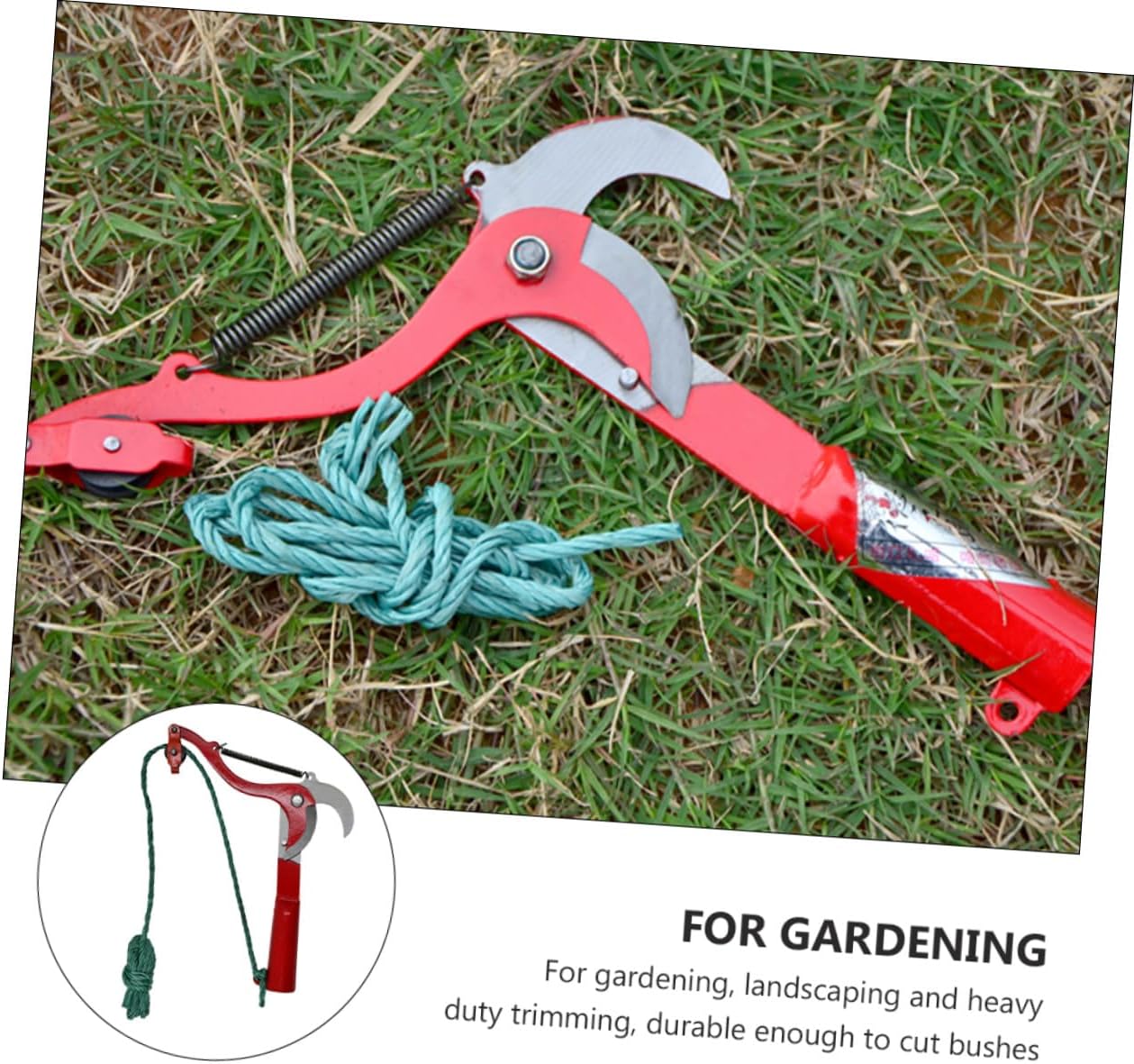 Generic Extendable Fruit Tree Pruner and Gardening Scissor with Rope for High Branch Trimming, Labor-saving Fruit Harvester Clipper Suitable for Outdoor Tree Pruning and Branch Cutting