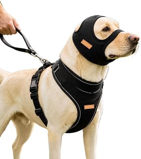 Adjustable Dog Harness - No Pull Vest with Anti Escape for Comfortable | Pet Walking Harness for Camping Training Park Yard Picnic Beach Small Medium Large