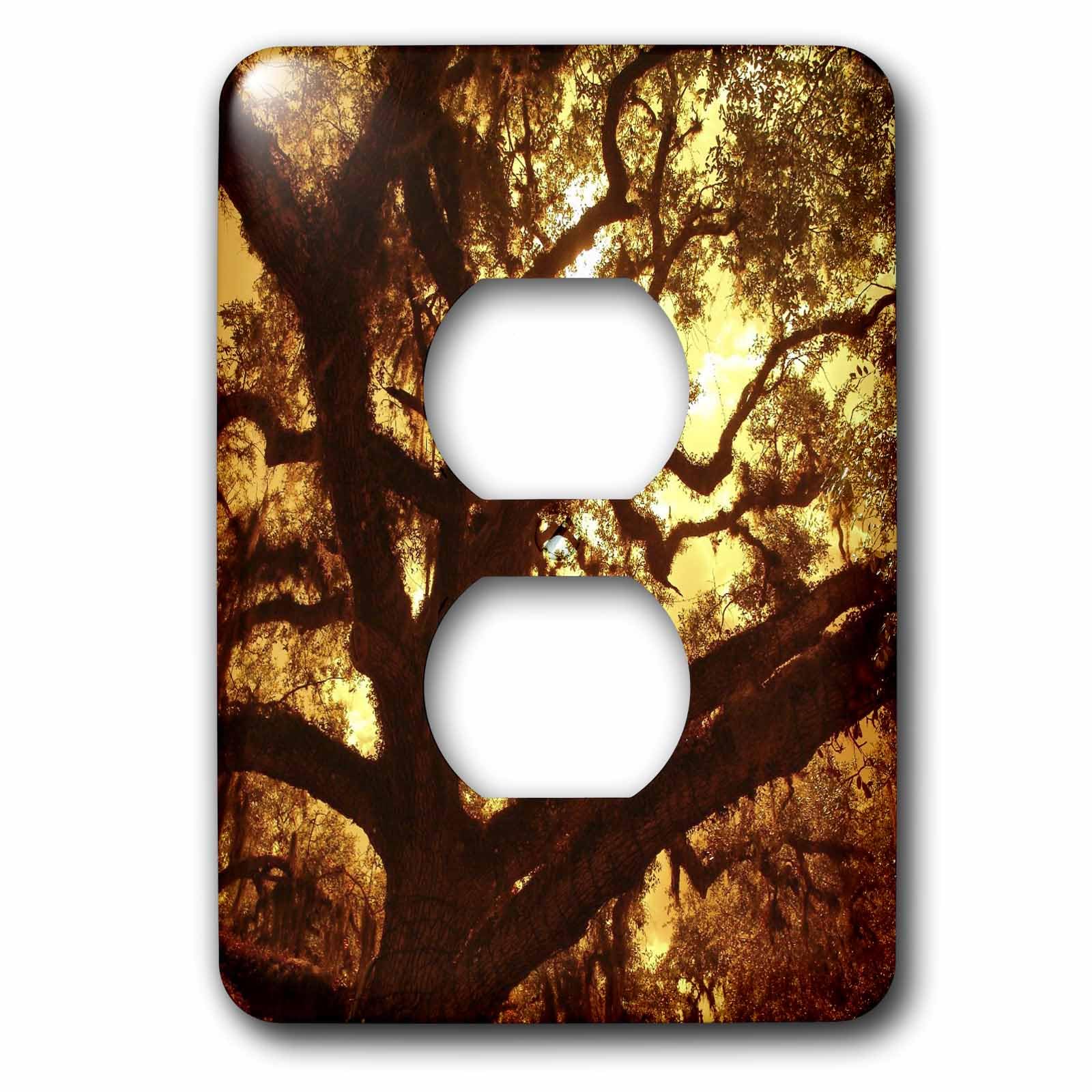 Golden Moss 2 Bouchon de prise pour sublimer votre salon moderne