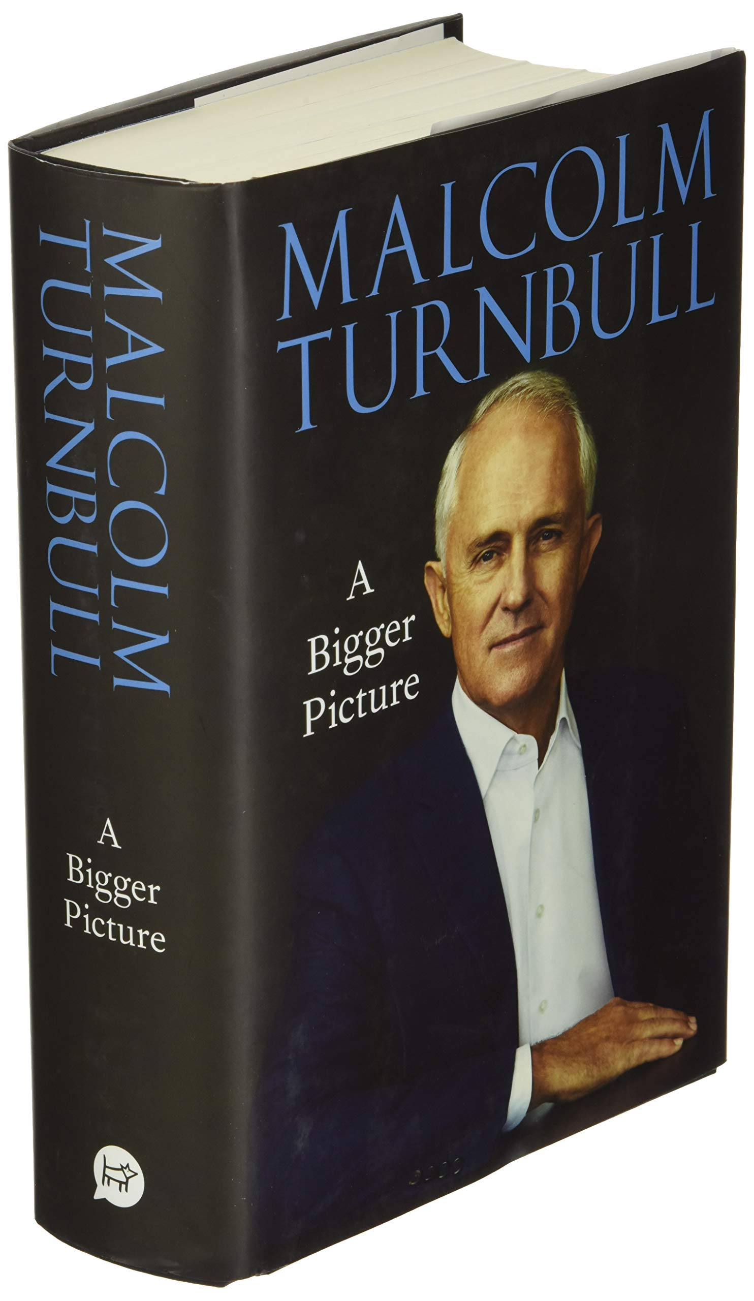 A Bigger Picture: With new foreword