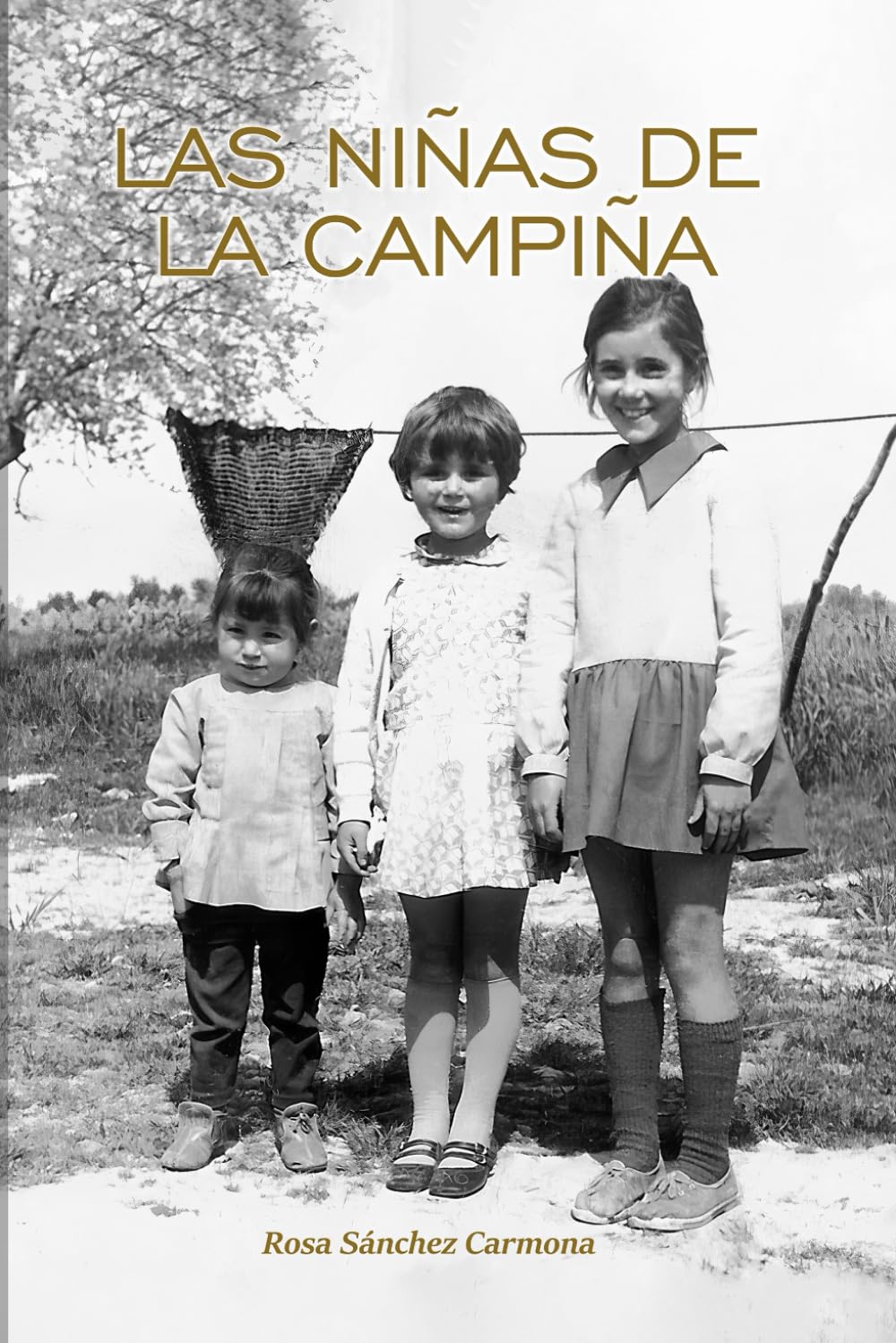 Las niñas de la campiña: Novela contemporánea de vivencias en el ámbito rural