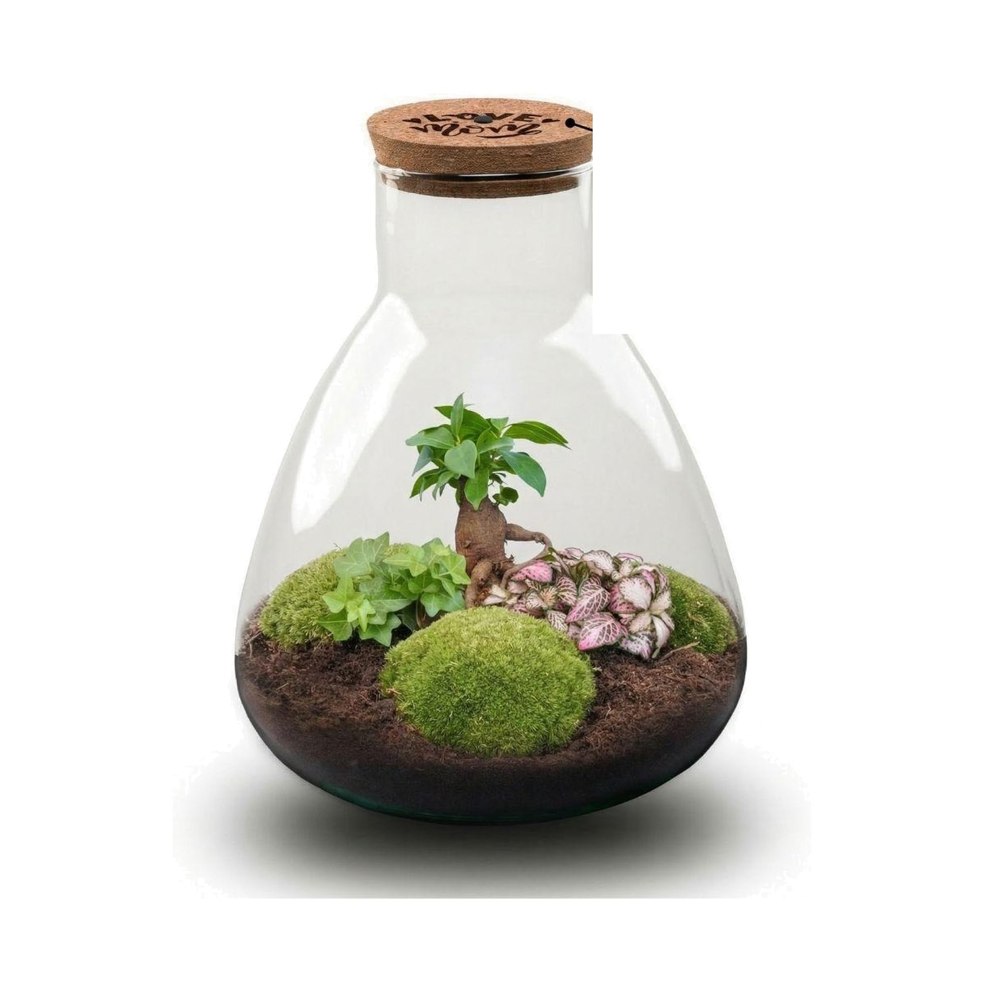Terrario Cristal DIY con Corcho LED, Regalo Día de la Madre, Ø 24.5x30 cm