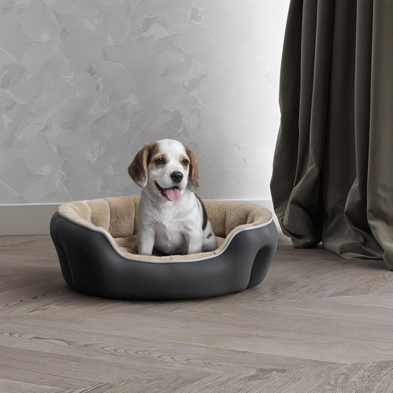 Cama para Mascotas para Perros y Gatos COCCOLE, Crema, 48x42x16cm