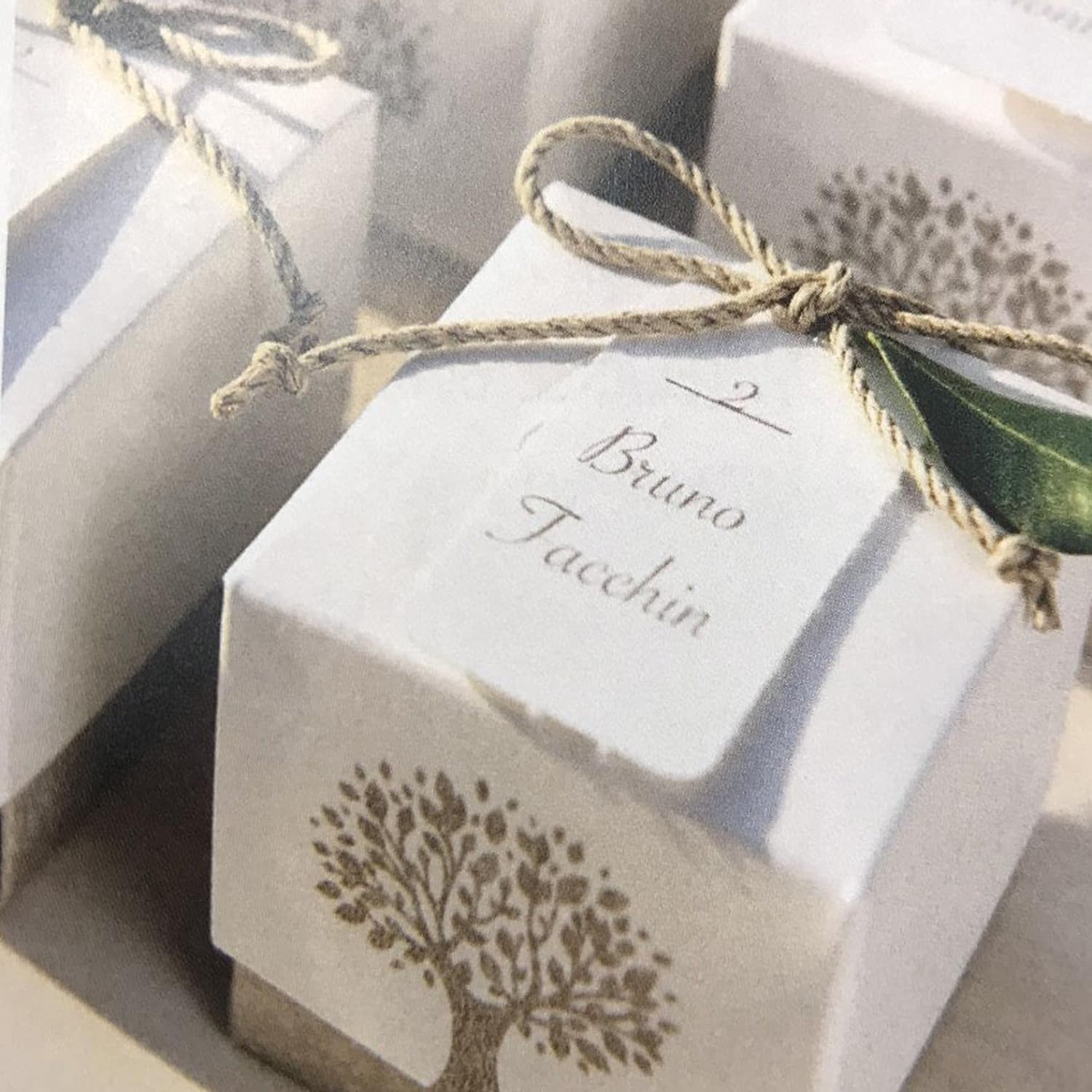 Regalami.shop candele colorate profumate con sei eleganti scatole da regalo con Albero della Vita
