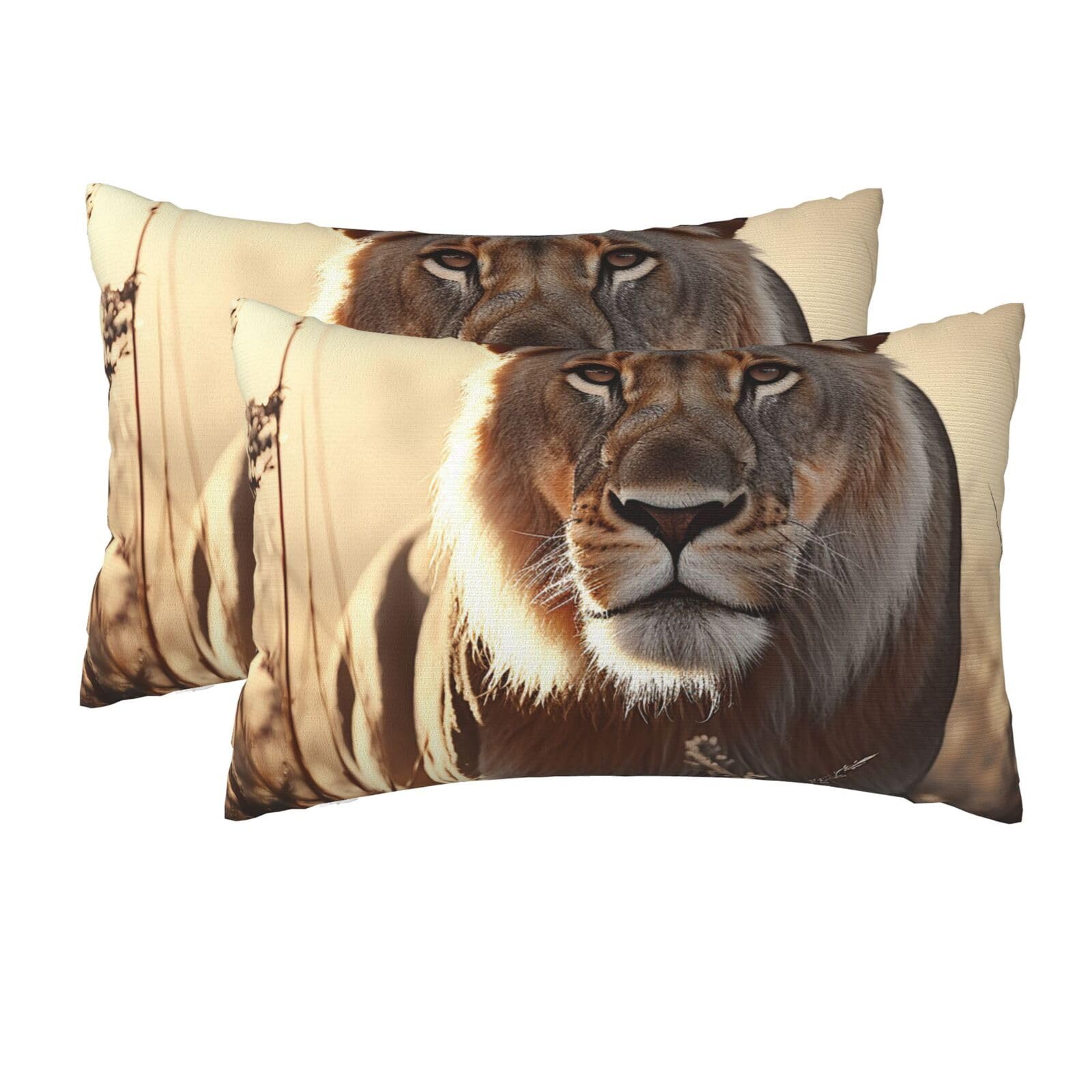2 Pack Queen Size Pillow Cases for Hair and Skin Soft Breathable Pillow Case Covers with Hidden Zipper Female Lion Pillowcase 20x30 Inches Pillow Cover for Sleeping Gift