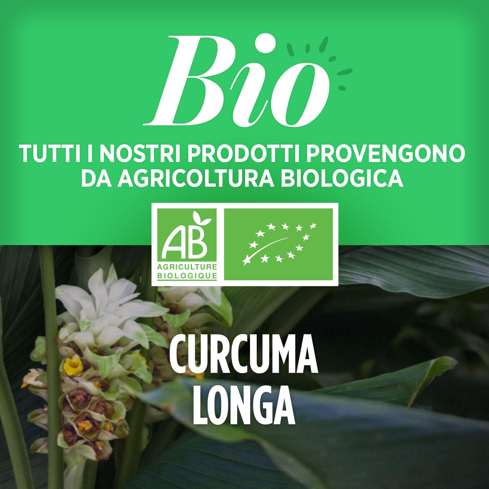 Curcuma Biologico 400 mg - 200 compresse