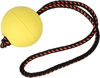 Dingo 17252 BIBI - Pelotas flotantes para entrenamiento # 70 con mango de 30 cm, color amarillo, pelotas de caucho, juego con perro