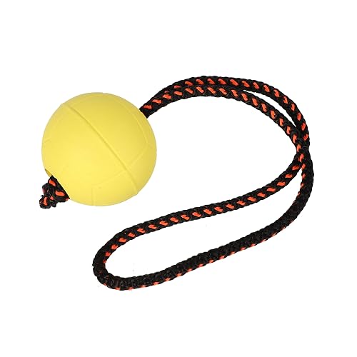 Dingo Ball BIBI - Pelota de entrenamiento (7 cm, con mango, 30 cm), color amarillo