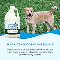 Vista 3 de Orine B-Gone-OD Limpiador profesional de enzimas de orina de mascotas, eliminador de olores para césped artificial, hormigón y más, 1 galón