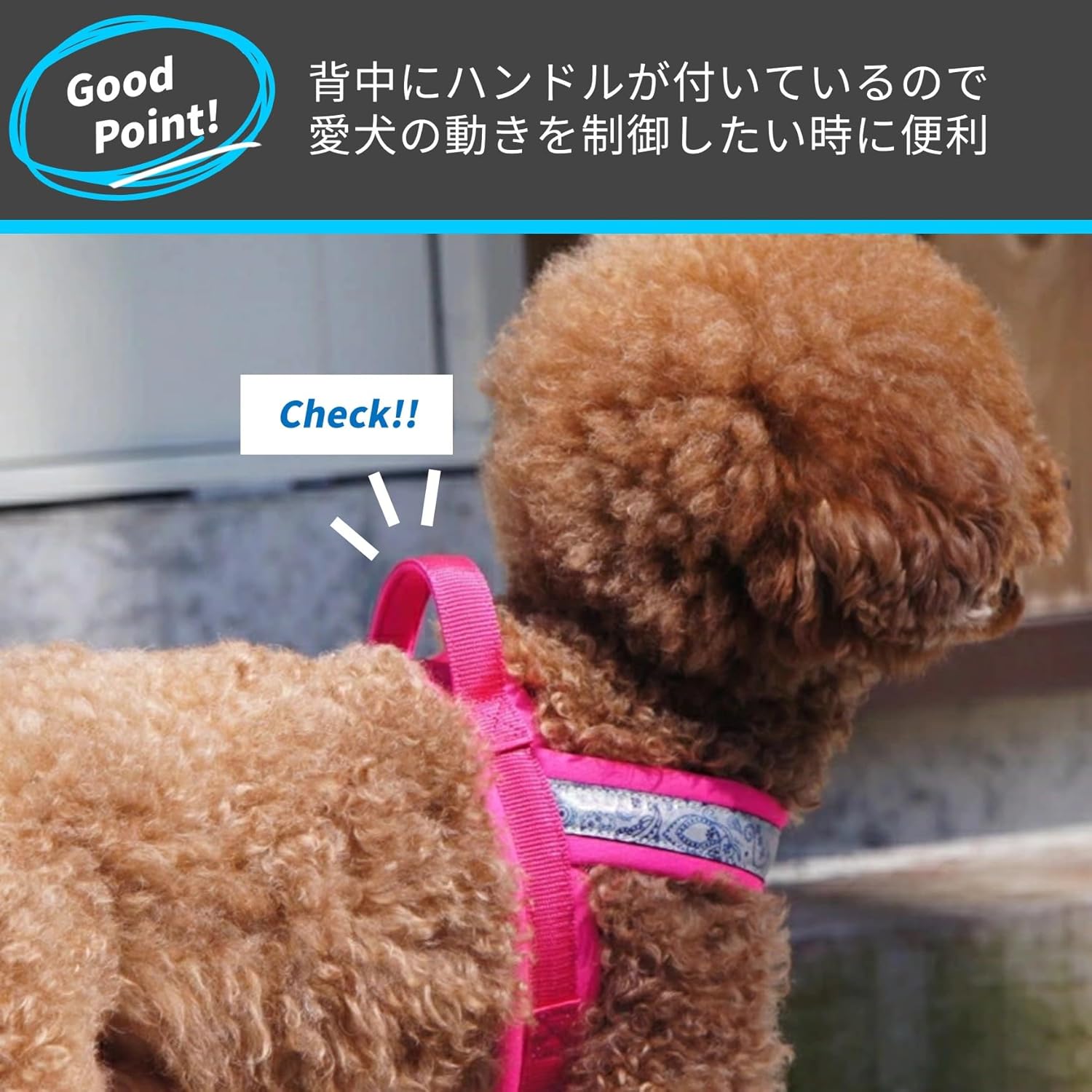 Just Fit Harness (4, Raspberry x Hotpink)