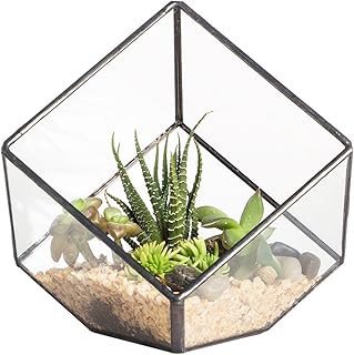 NCYP Small 3.93 Inches Geometric Glass Terrarium Box, Inclined Cube Clea...