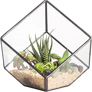 NCYP 3.93inches Black Geometric Glass Terrarium, Small Inclined Cube Clear Decorative Planter, Tabletop Air Plant Holder Display Box, Succulent Moss Flower Pot DIY Centerpiece (No Plants, No Lid)