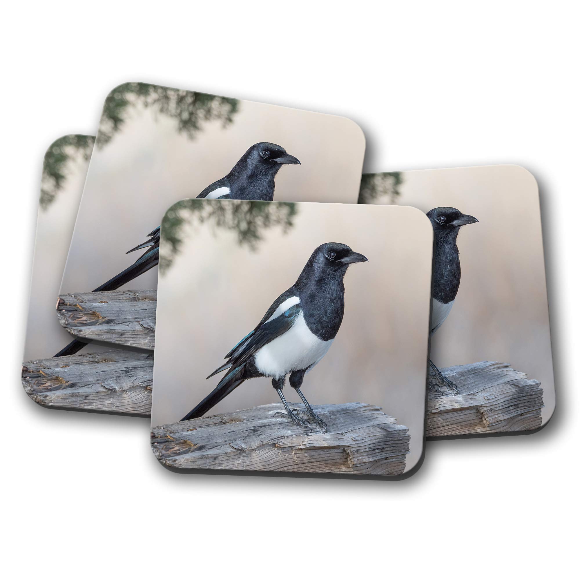 Destinationvinyl Multicolor 4 Set - Beautiful Magpie Bird Coaster - Birds Crow Raven Twitcher Dad #8765