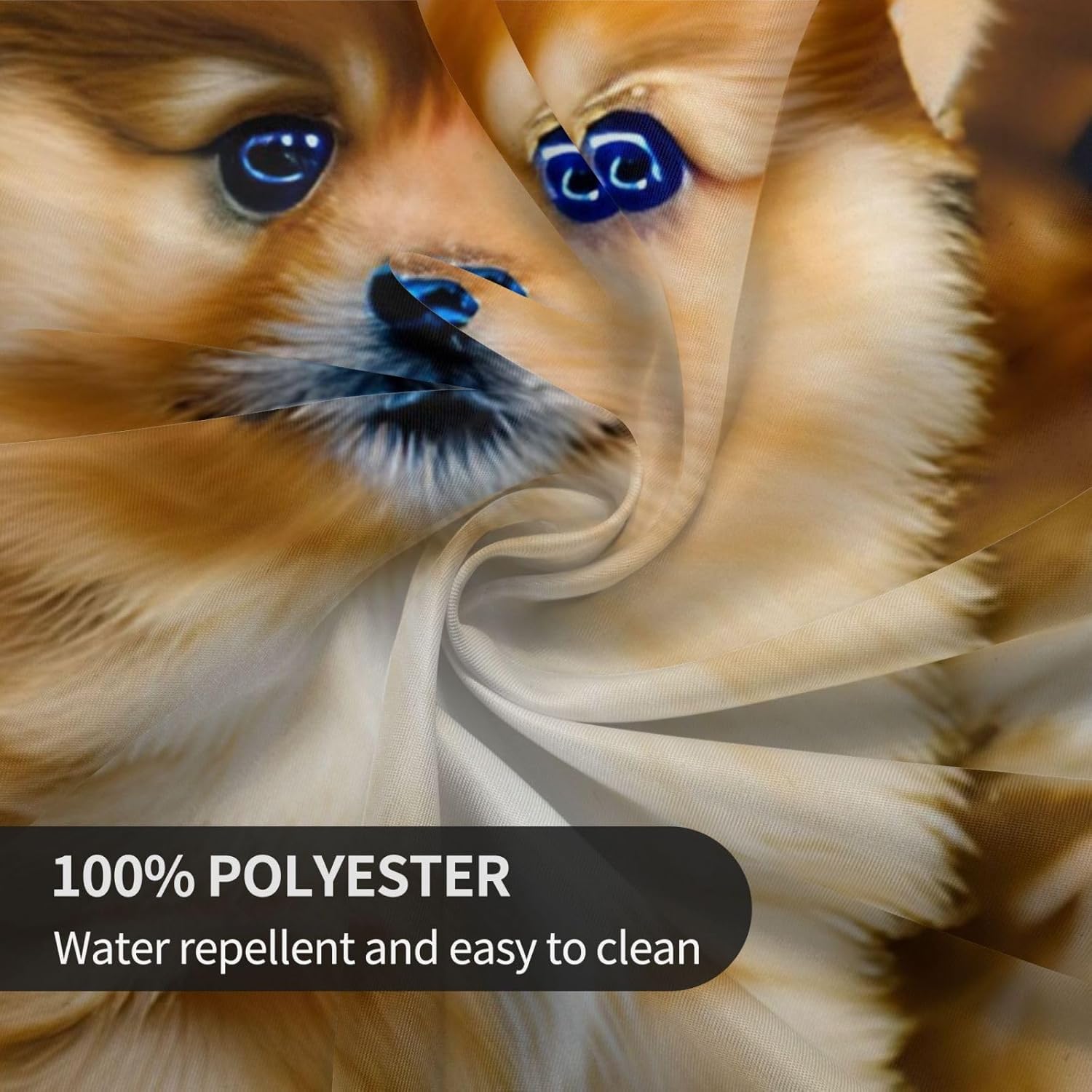 Pomeranians Puppies and Point Print Wrinkle Free Dining Table Cover for Birthday Party Farmhouse Tablecloths Up to 60 x 60 Inches