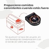Ver la foto 2