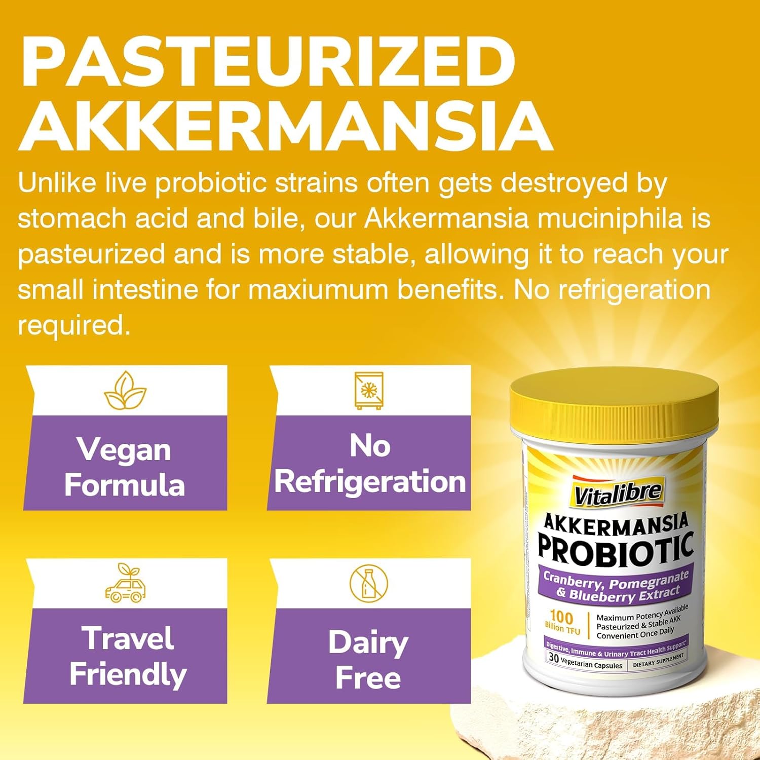 Vitalibre Akkermansia Probiotics 100 Billion TFU, Pasteurized Akkermansia Muciniphila, w/Cranberry, Blueberry & Pomegranate, Digestive & Immune Health, Leaky Gut, GLP-1 Supplement, 30 Vegan Capsules