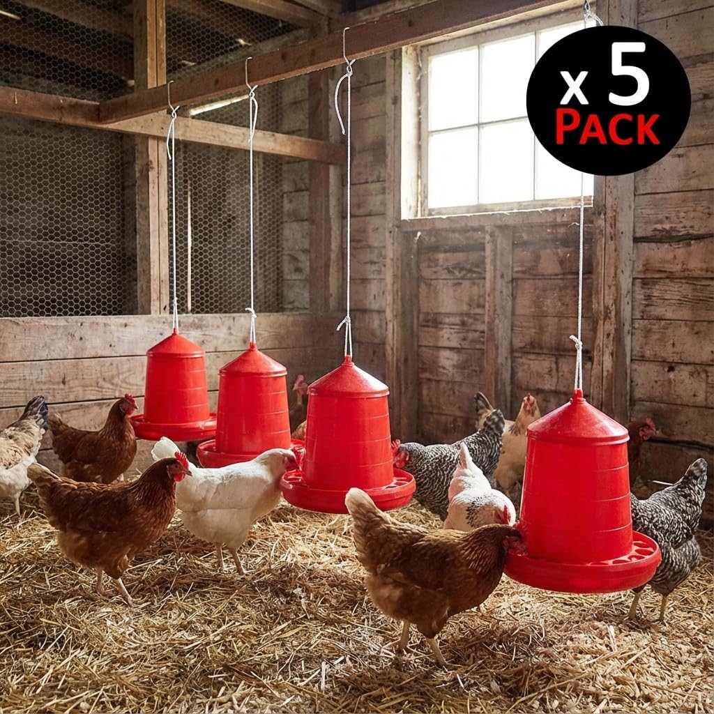 Suinga Pack 5 Mangimi per Uccelli e Galline | Capacità 8 kg | 38x38x60 cm | Plastica Resistente | Colore Rosso
