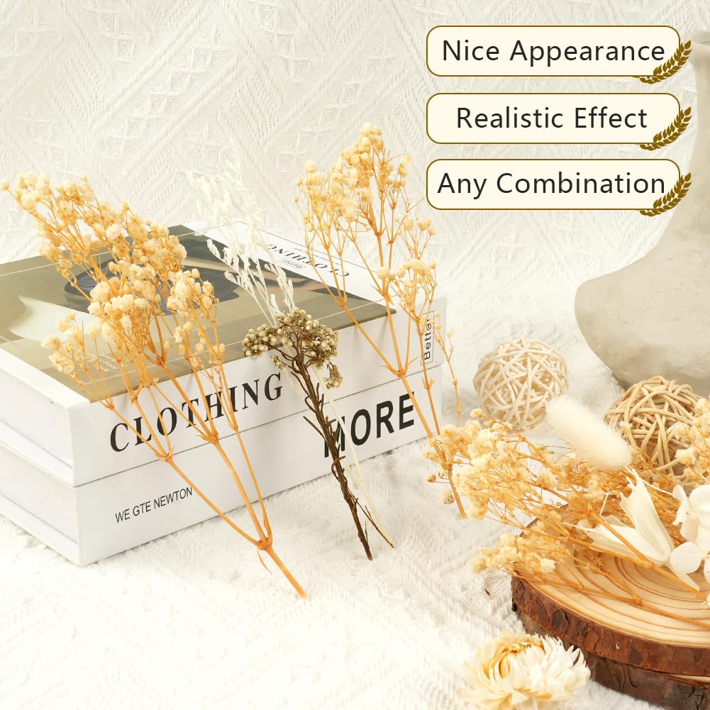 Fiori Secchi Naturali e Pressati per Artigianato, Resina, Scrapbooking, Creazione di Gioielli e Decorazioni Floreali Fai da te
