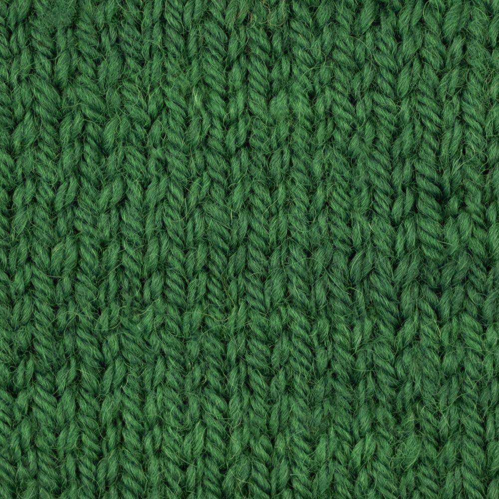 West Yorkshire Spinners ColourLab Aran 1212 Emerald Green โ image 1
