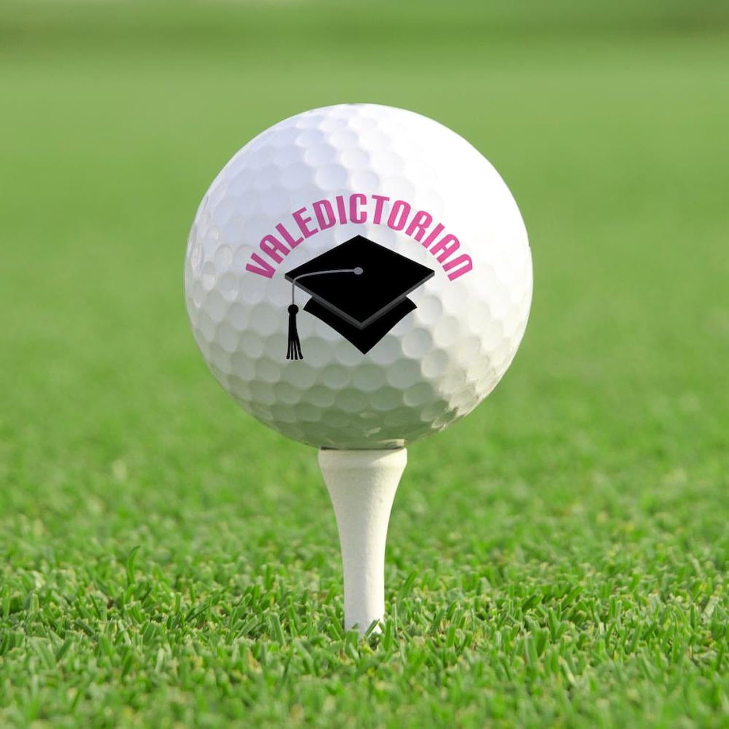 CafePress Cute Valedictorian Gift Novelty Golf Balls (Pk of 12)