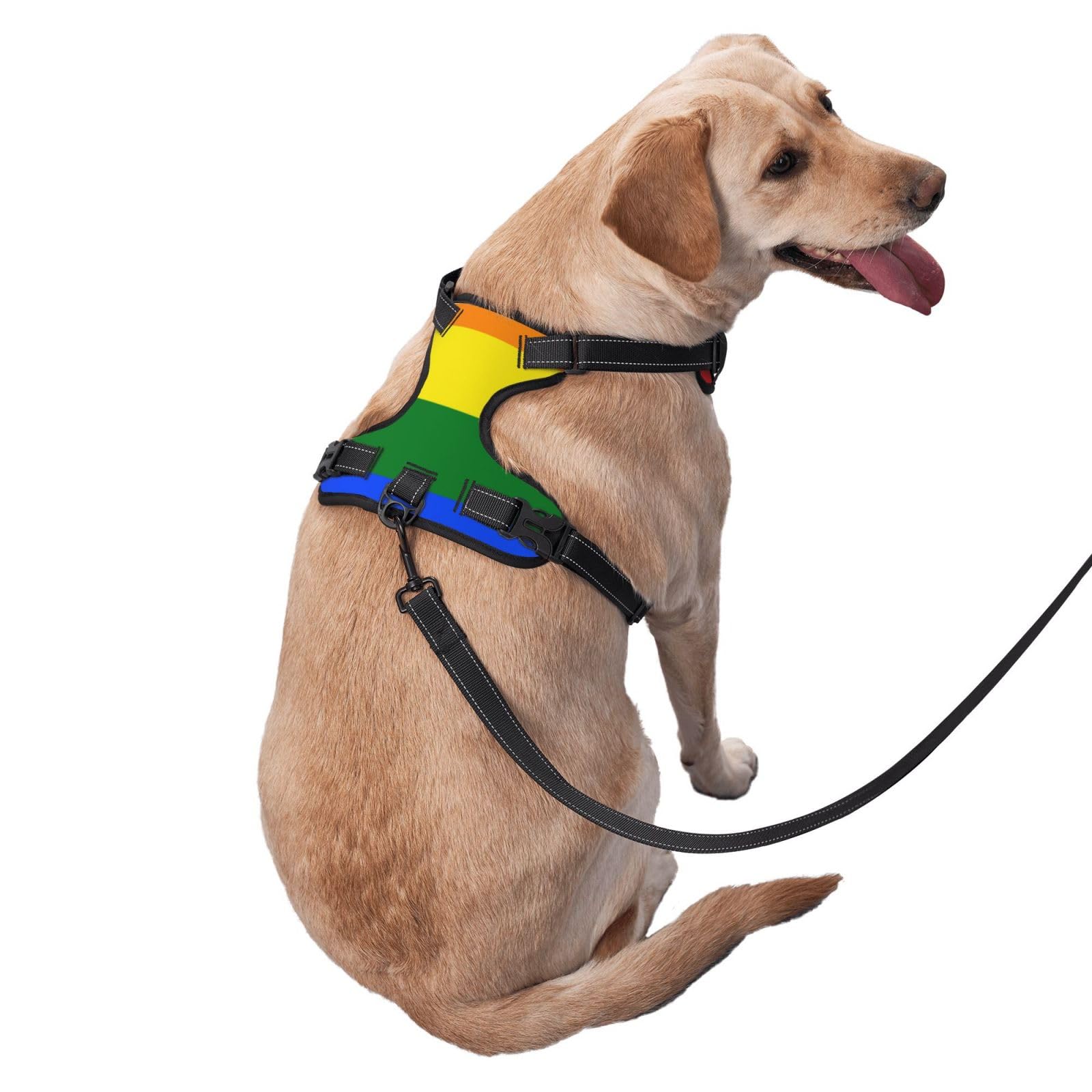 View 3