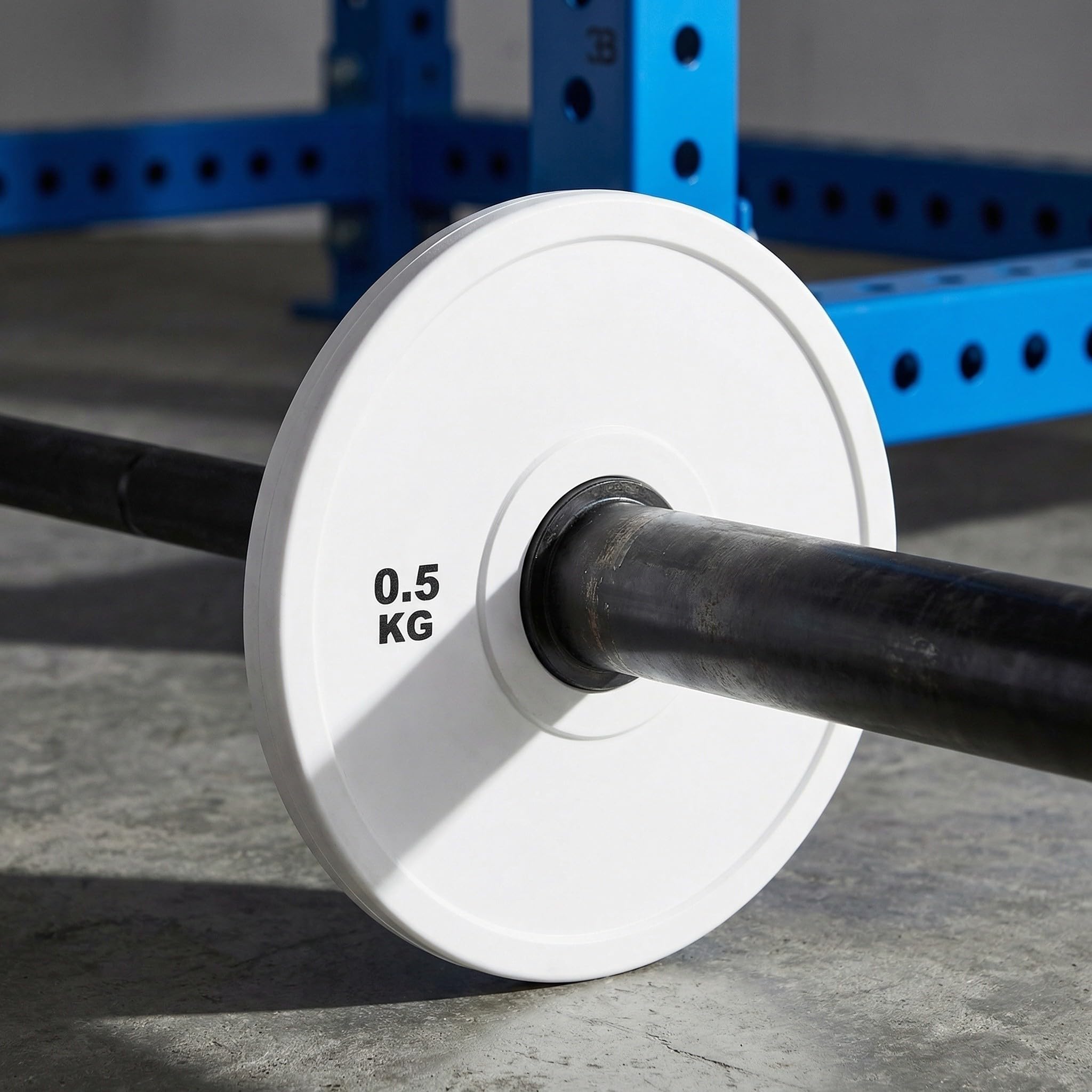 2 Piezas Discos de Pesas de Goma para Lb Orificio Estándar de 2' y Acero Resistente, Ideales para Entrenamiento en Casa y Gimnasio