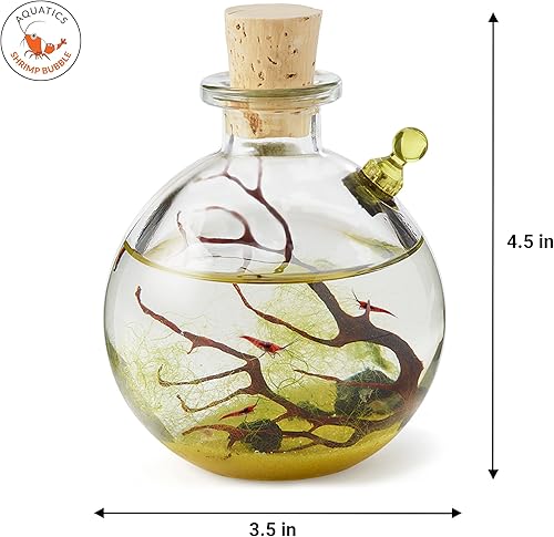 Miniatura 4 de Shrimp Bubble Self-Sustaining Ecosystem