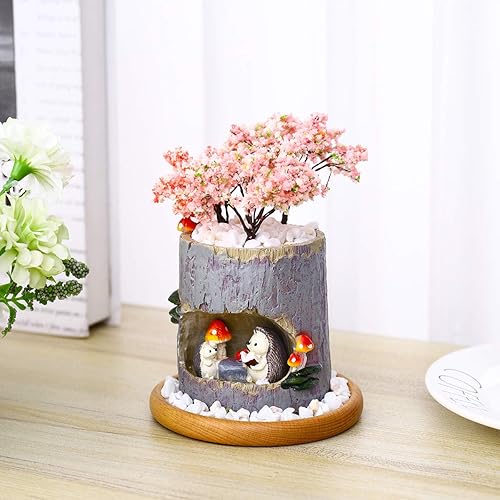 Miniatura 5 de TINKSKY Linda maceta de sedum de erizo para suculentas, maceta para bonsái, caja para plantas, cama, oficina, hogar, jardín, decoración