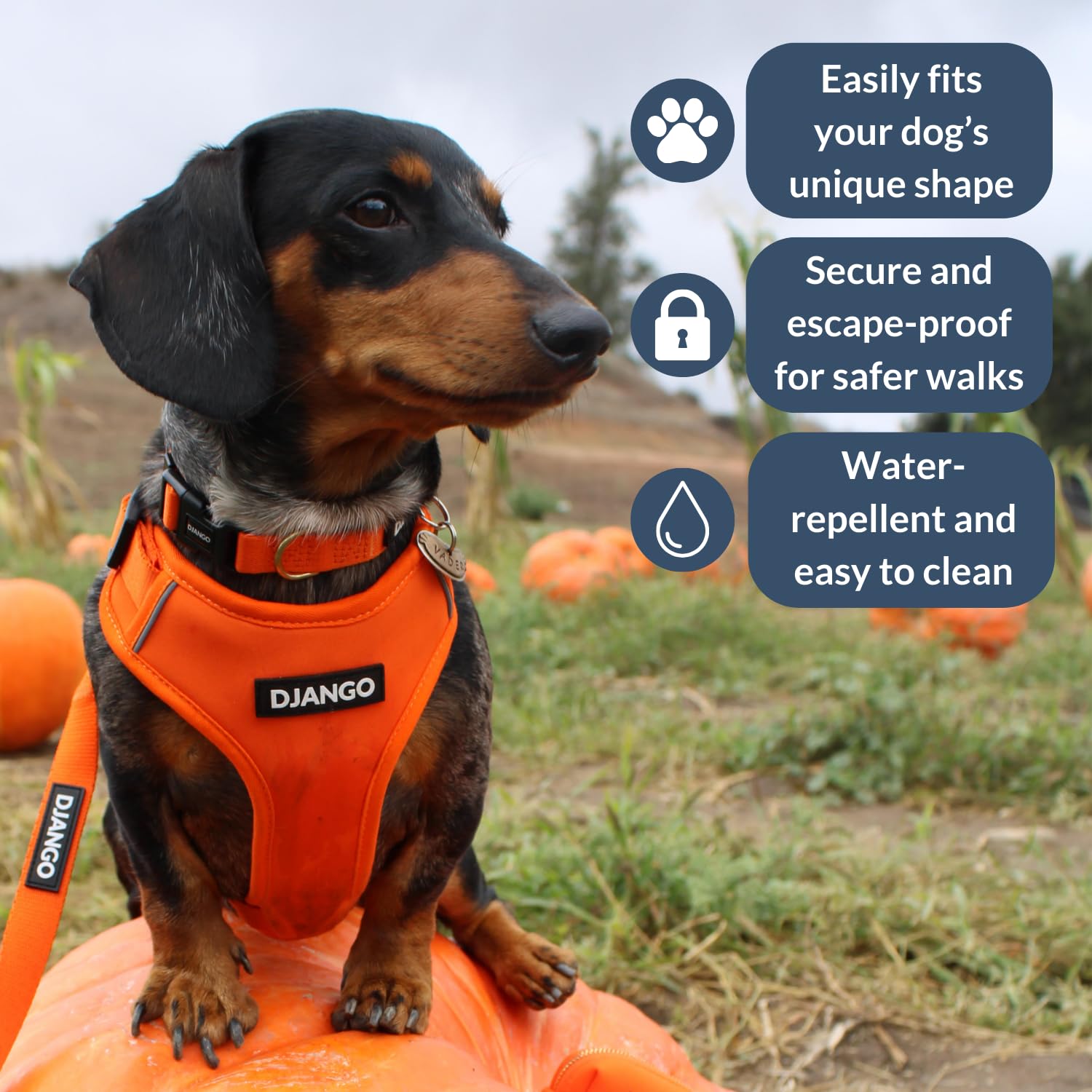 View 2
