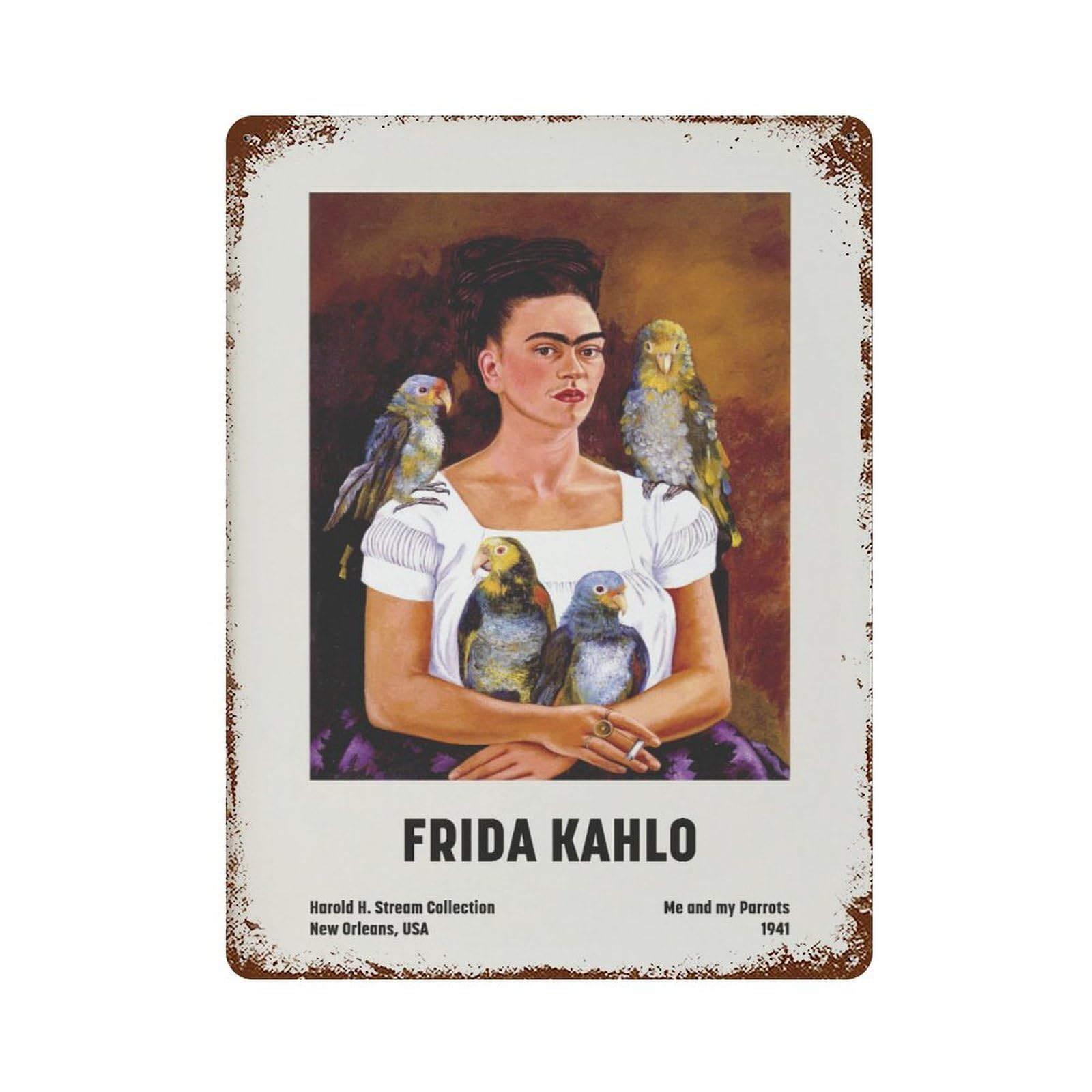 xiaoxiaoshen Frida Kahlo Me And My Parrots, Feminist Work Wall Decor Art Metal Tin Poster Modern Home Decor Art Home Bar Shop Decorations Vintage Sign 40x30cm