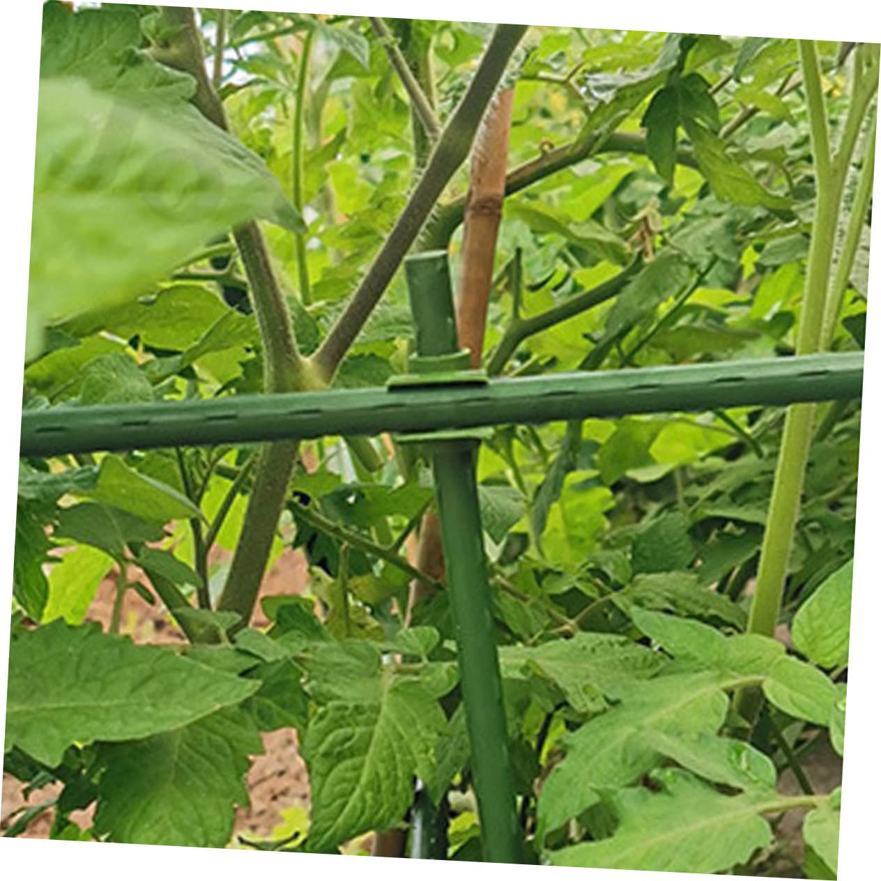 Didiseaon 5 Set Supporto per Rampicanti Accessori per Dispositivi di Estrazione Supporto per Piante in Rattan Legare Il Filo Traliccio da Giardino con Traliccio Clip per Piante da 50 Pezzi*5