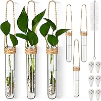Baderke 6-Pack Hanging Propagation Vases - Clear Plastic Wall Planters for Hydroponic Plants, Office Garden Decor & Plant Lover Gifts